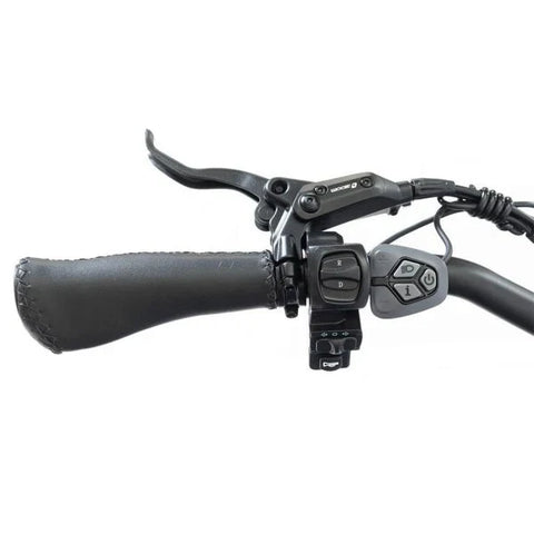 20 48V/14AH 750W Foldable Fat Tire Electric Trike, 330LBS