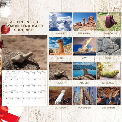 Nature‘s Funniest Shapes 2026 Calendar