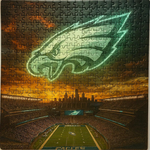 NFL Team Home Stadium Puzzle (1000 Pieces)