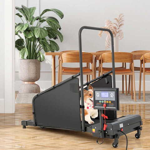 200 Lbs Dog Treadmill Pet Running Machine Indoor Pet Exercise Equipment With Remote Amp 14039039 Lcd Screen
