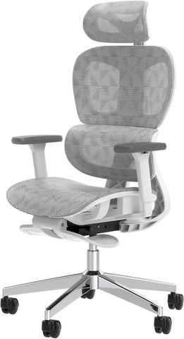 Ergo3D Ergonomic Office Chair �� High Back Mesh Desk Chair with 3D Adjustable Armrests, Wheels, for Home and Office (Black)