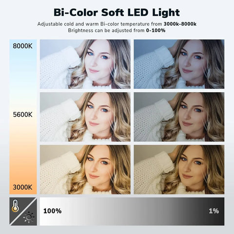 D50 LED Video Light Panel Lights 15.4", 2 Packs 45W 3000K-8000K Bi-Color Dimmable Photography Lighting, CRI 96+ Videography Lighting for Video Shooting/Gaming/Live Stream/Studio/Film