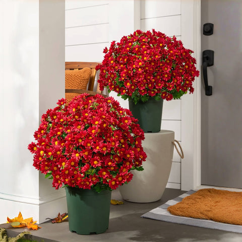 Artificial Outdoor Sunset Mums Flowers