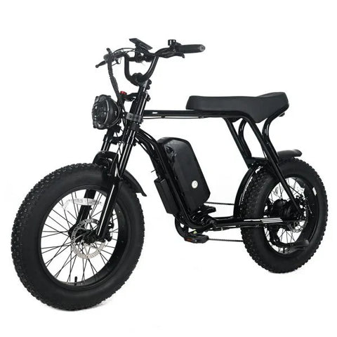 Electric Mountain Bike for Adults | 20 x 4.0 Fat Tires, 1000W Motor, 48V 20Ah Removable Battery, Max Speed 45MPH, Shi Mano 7-Speed for Off-Road Adventures