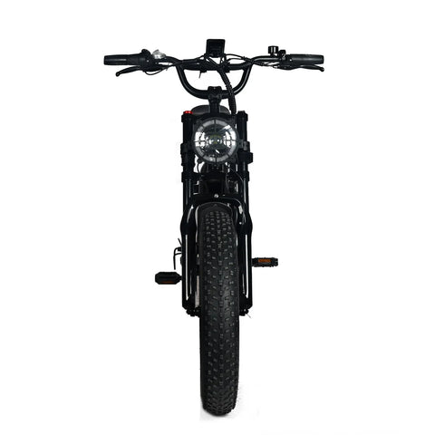 Electric Mountain Bike for Adults | 20 x 4.0 Fat Tires, 1000W Motor, 48V 20Ah Removable Battery, Max Speed 45MPH, Shi Mano 7-Speed for Off-Road Adventures