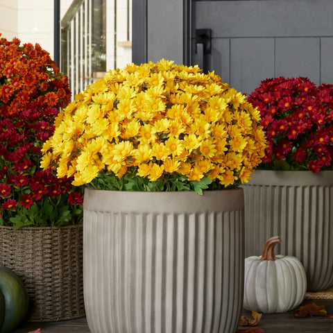 Artificial Outdoor Sunset Mums Flowers