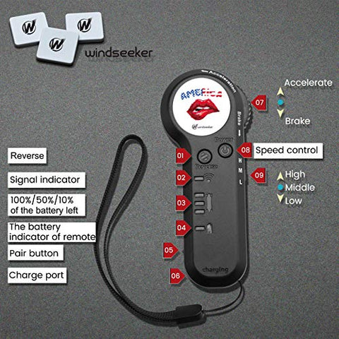 Electric Skateboard with Remote Control for Beginners Cruiser E-Ska with DIY Stickers